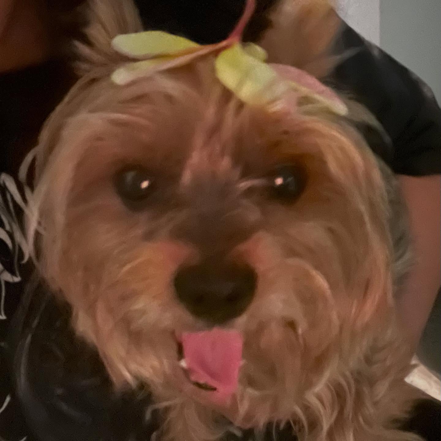 vanessa.julienne instagram image archive image