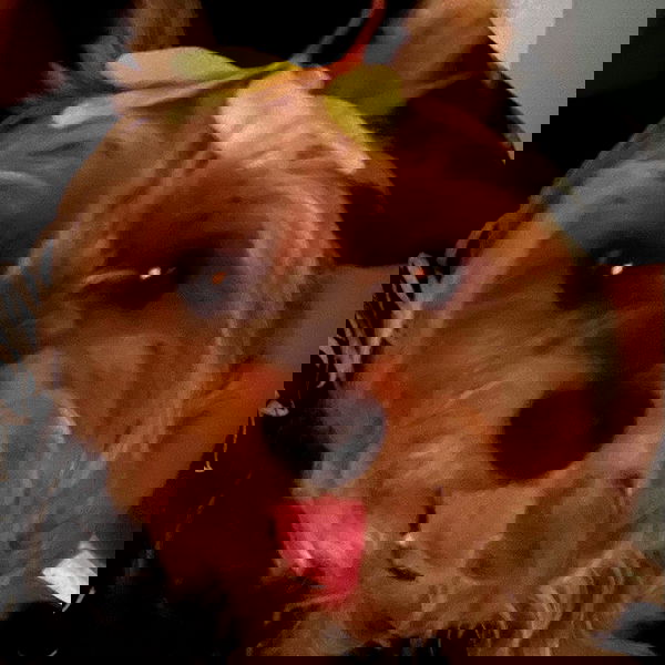 vanessa.julienne image ~ Altpins