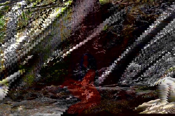 vanessa.julienne image ~ Altpins