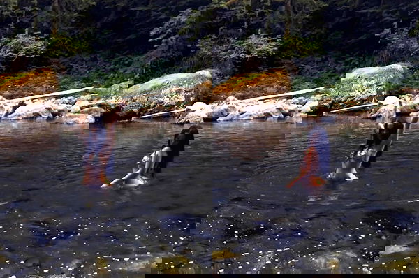 vanessa.julienne image ~ Altpins