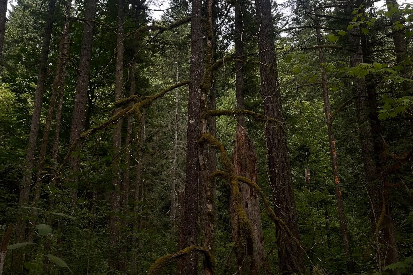 vanessa.julienne instagram image archive image