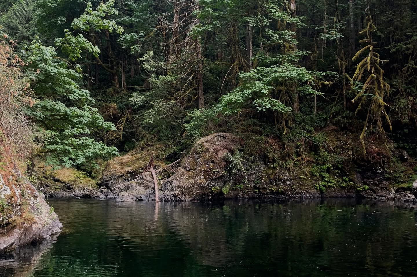 vanessa.julienne instagram image archive image