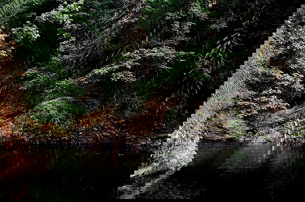 vanessa.julienne image ~ Altpins