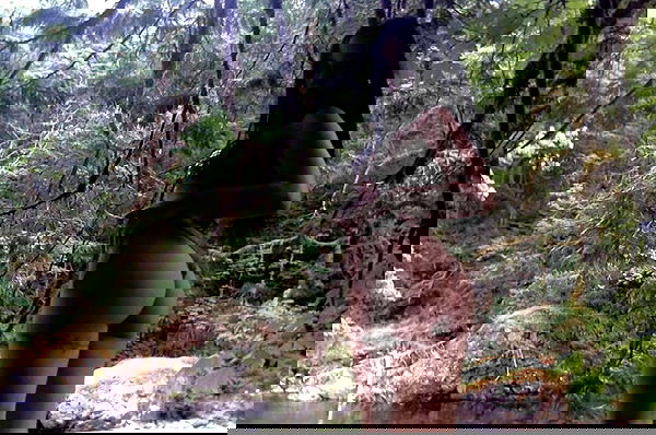 vanessa.julienne image ~ Altpins