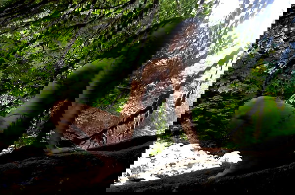 vanessa.julienne image ~ Altpins