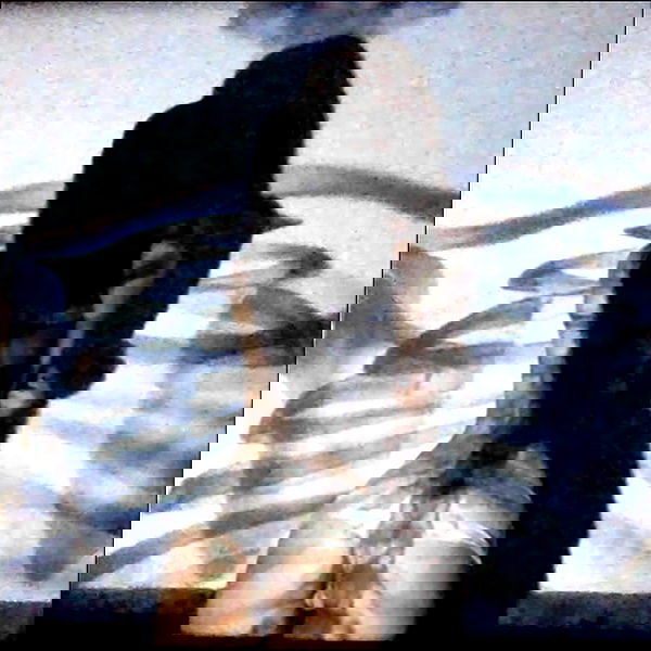 vanessa.julienne image ~ Altpins