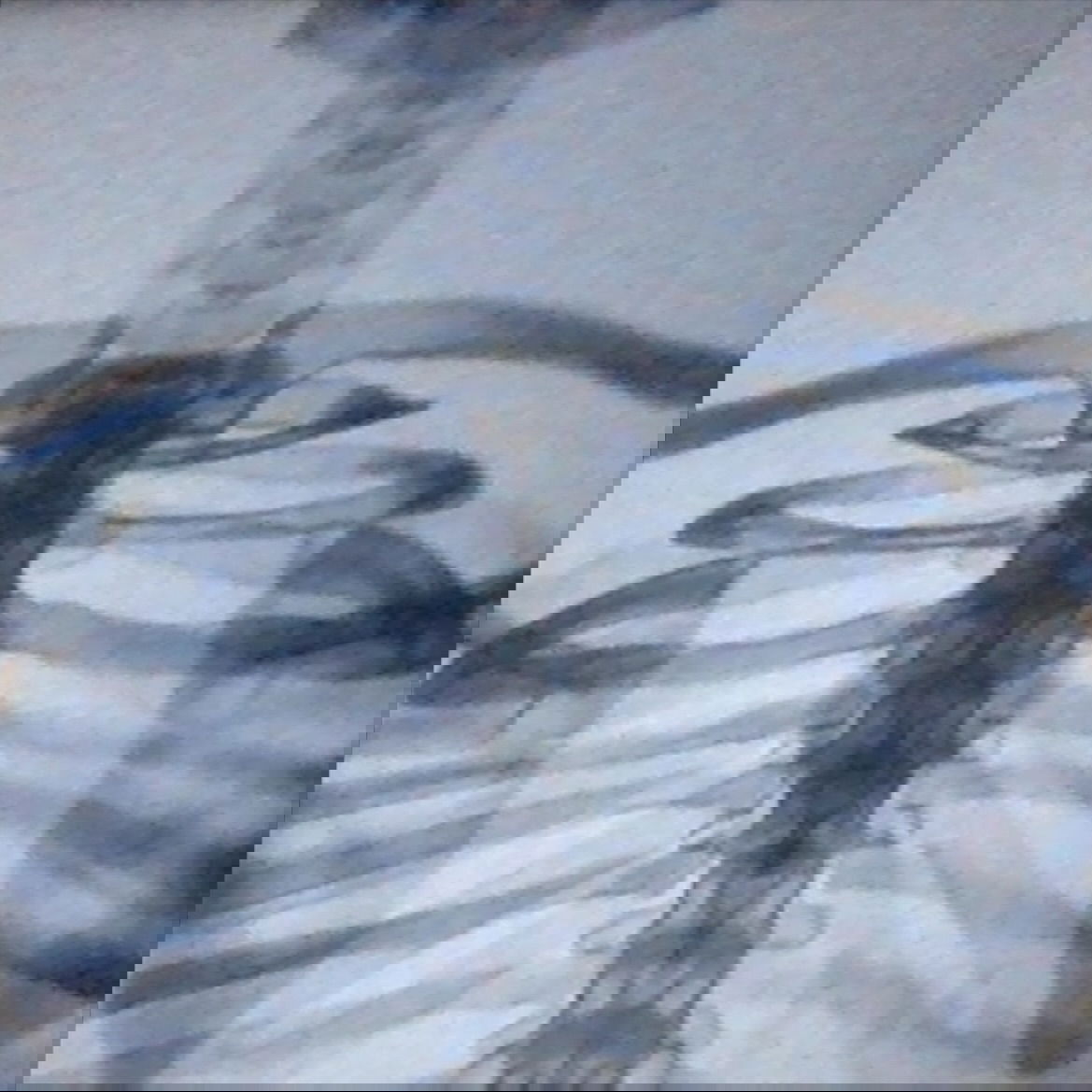 vanessa.julienne instagram image archive image