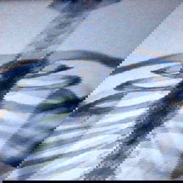 vanessa.julienne image ~ Altpins