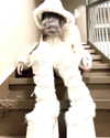 veildose Altpins Profile Picture