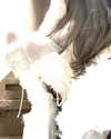 veildose Altpins Profile Picture