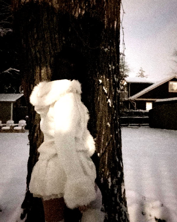 veildose instagram image archive image