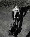 veildose Altpins Profile Picture