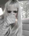 veildose Altpins Profile Picture