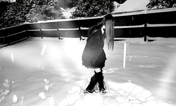 veildose instagram image archive image