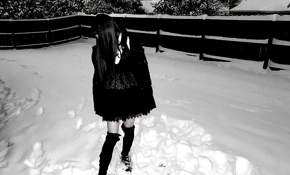 veildose instagram image archive image