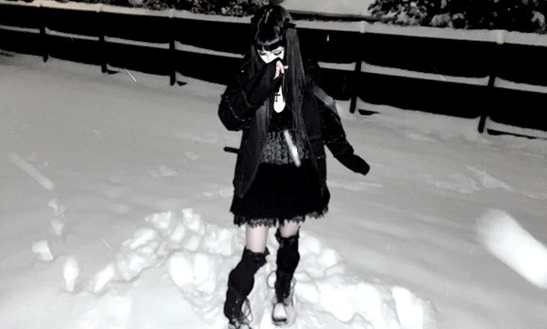 veildose instagram image archive image