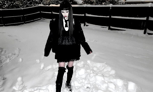 veildose instagram image archive image
