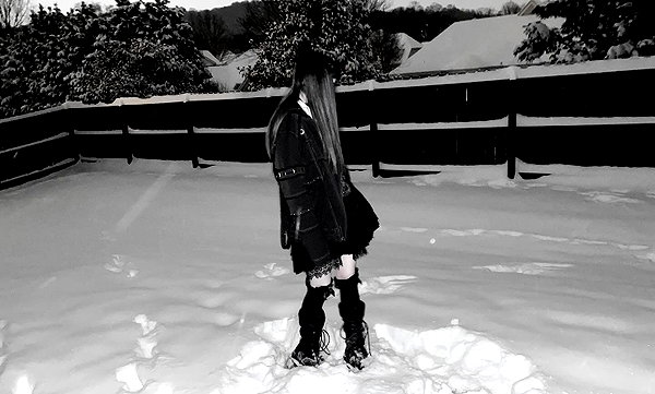veildose instagram image archive image