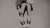 veildose Altpins Profile Picture