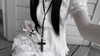 veildose Altpins Profile Picture