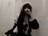 veildose Altpins Profile Picture