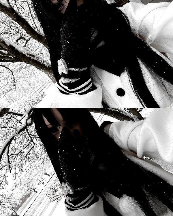 veildose instagram image archive image
