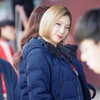 vendengephoto Altpins Profile Picture