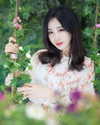vendengephoto Altpins Profile Picture