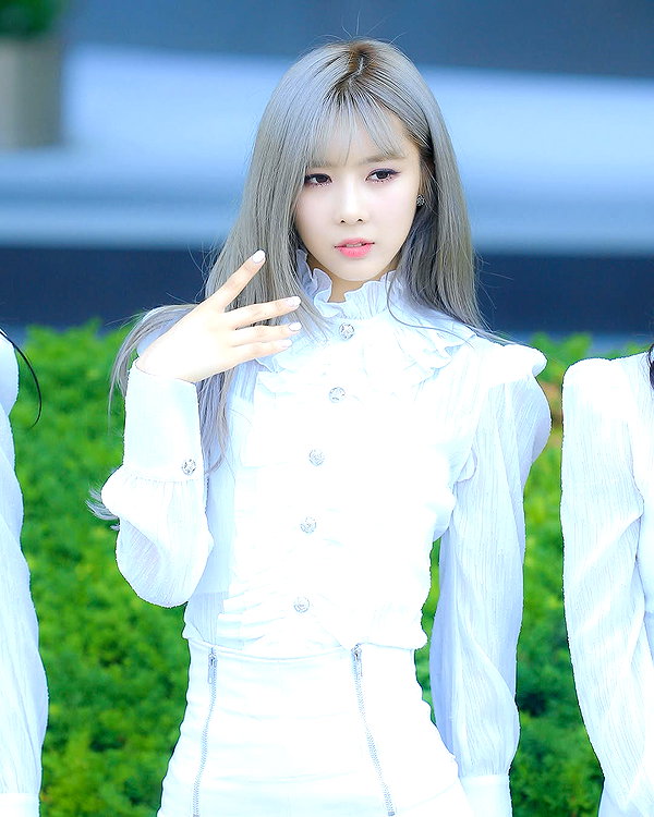 vendengephoto instagram image archive image