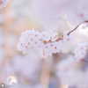 vendengephoto Altpins Profile Picture