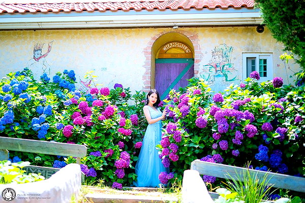 vendengephoto instagram image archive image