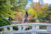 vendengephoto Altpins Profile Picture