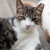 vendengephoto Altpins Profile Picture