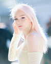 vendengephoto Altpins Profile Picture