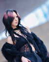 vendengephoto Altpins Profile Picture