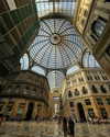 veronika_grish Altpins Profile Picture