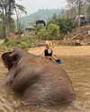 veronika_grish Altpins Profile Picture