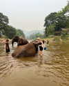 veronika_grish Altpins Profile Picture
