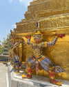 veronika_grish Altpins Profile Picture