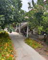 veronika_grish Altpins Profile Picture