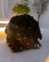 veronika_grish Altpins Profile Picture