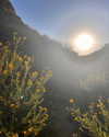 veronika_grish Altpins Profile Picture