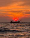 veronika_grish Altpins Profile Picture