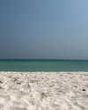 veronika_grish Altpins Profile Picture
