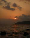 veronika_grish Altpins Profile Picture
