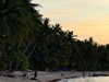 veronika_grish Altpins Profile Picture