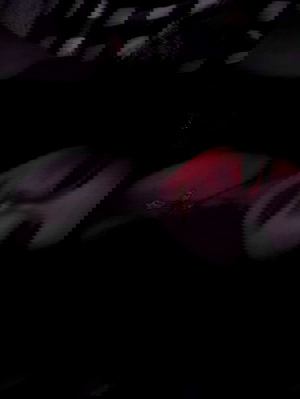 victoria._celine victoria._celine archive image