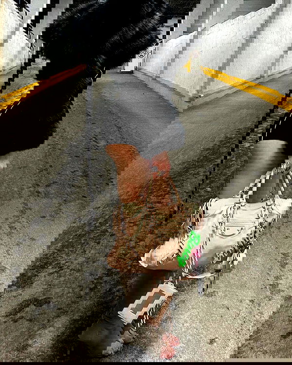 victoriarawlings image ~ Altpins