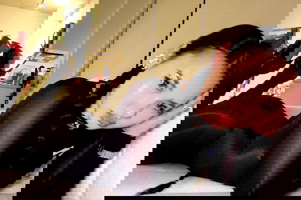 victoriarawlings image ~ Altpins