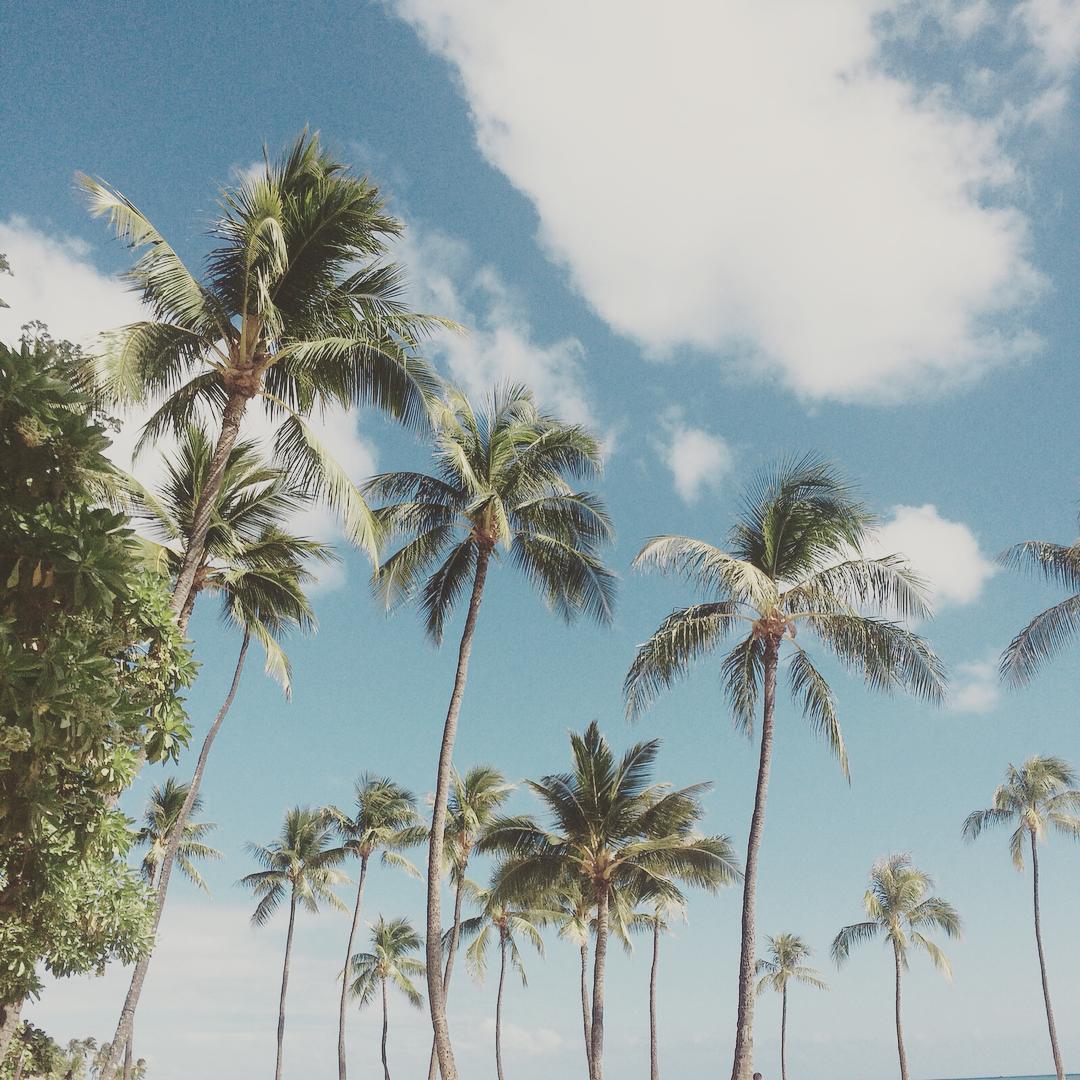 victoriaturnerr instagram image archive image